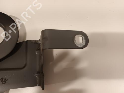 Hinge/Door check strap RENAULT CLIO IV (BH_) 0.9 TCe 90 (BHNF, BHMA, BHMH, BHJK, BHJR) | BP16444414C146 