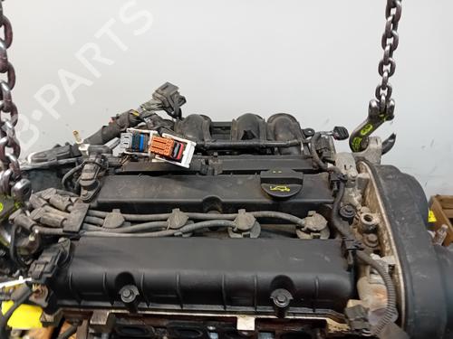 Engine FORD FIESTA VI (CB1, CCN) 1.6 Ti | BP17238296M1 