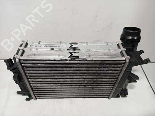 Used Intercooler Intercooler RENAULT AUSTRAL TCe 160 (HGMJ) (158 hp) 36641447 36641447