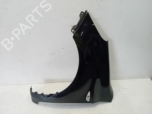 Used Left front fenders HYUNDAI i20 I (PB, PBT) 1.2 (78 hp) 28055949