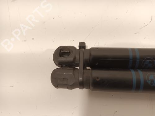 Hood lift support BMW 3 (F30, F80) 316 d | BP17558707C139 