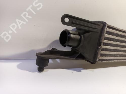 Intercooler FIAT PUNTO EVO (199_) 1.3 D Multijet | BP16534331M30 