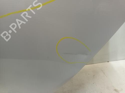 Left rear door RENAULT CLIO IV (BH_) 1.5 dCi 90 | BP21079814C4 