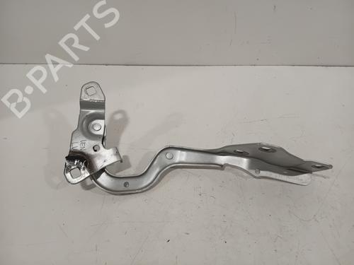 Hinge/Door check strap RENAULT SCÉNIC IV (J9_) 1.3 TCe 160 (J9NC) | BP28282976C146 