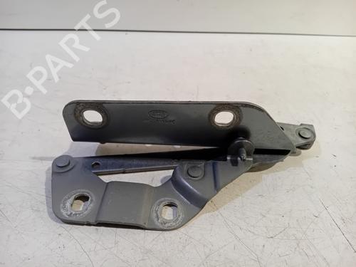 Hinge/Door check strap LAND ROVER RANGE ROVER EVOQUE (L538) 2.2 D 4x4 | BP21056919C146 