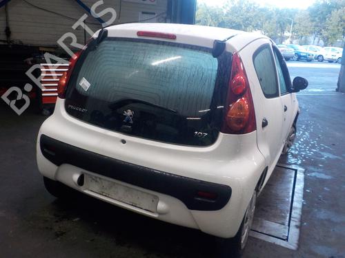 Hinge/Door check strap PEUGEOT 107 (PM_, PN_) 1.0 | BP15296398C146