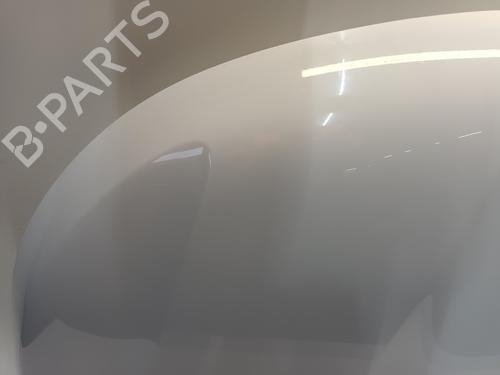 Hood RENAULT KANGOO III Box Body/MPV 1.5 Blue dCi 115 (FJAC) | BP29918529C1