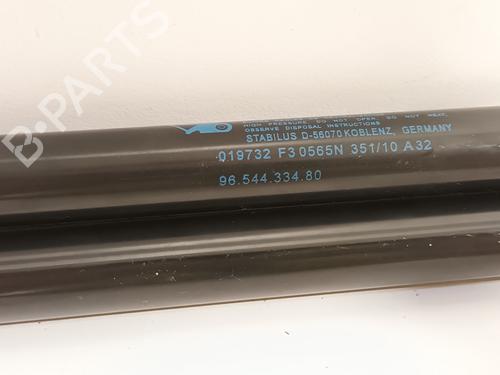 Tailgate lift support CITROËN C4 Picasso I MPV (UD_) 1.6 VTi 120 | BP17954509C138 