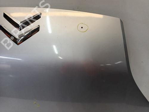 Hood CITROËN NEMO Box Body/MPV (AA_) 1.3 HDi 75 | BP19044688C1 