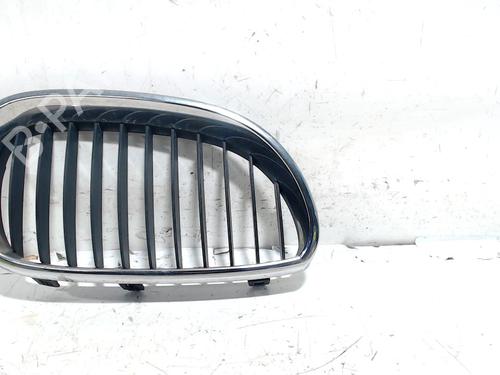Grill BMW 5 (E60) 520 d (163 hp) 13202690