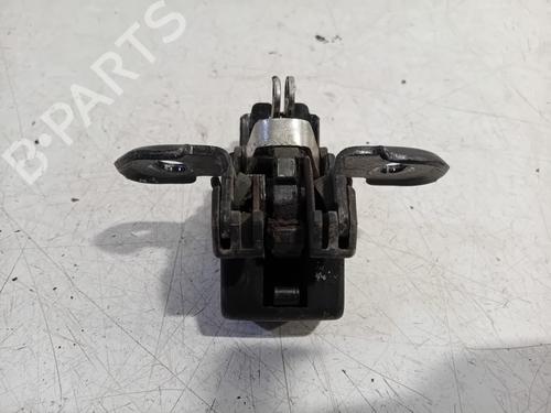 Hinge/Door check strap DACIA DOKKER Box Body/MPV 1.6 | BP19789091C146 