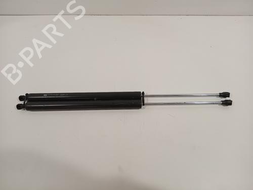 Tailgate lift support PEUGEOT PARTNER Tepee 1.6 VTi | BP24631317C138 