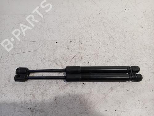 Used Hood lift support BMW X3 (F25) xDrive 20 d (163 hp) 25281991