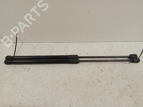 Used Tailgate lift support SKODA FABIA III (NJ3) 1.2 TSI (90 hp) 17761551