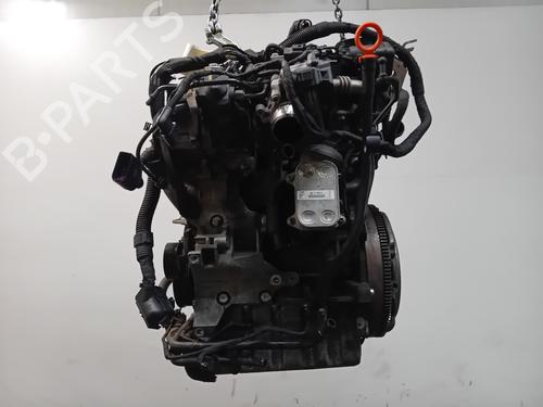 Engine SEAT IBIZA IV ST (6J8, 6P8) 1.2 TDI | BP29563674M1