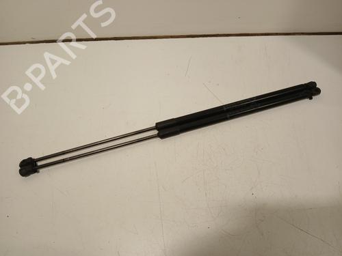 Tailgate lift support FORD C-MAX II (DXA/CB7, DXA/CEU) 1.6 EcoBoost | BP24980554C138 