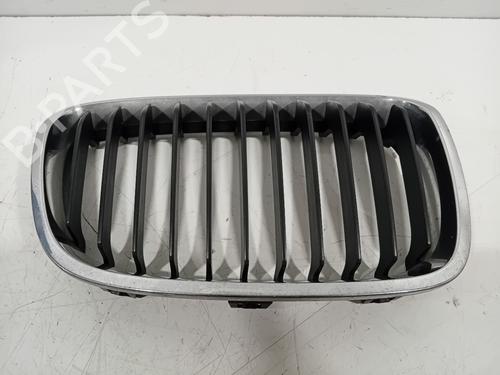 grille-bmw-1-f20-2011-2012-2013-2014-2015-2016-2017-2018-2019-32232374 main image