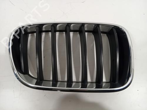 Used Grille BMW X3 (F25) xDrive 20 i (184 hp) 30804290