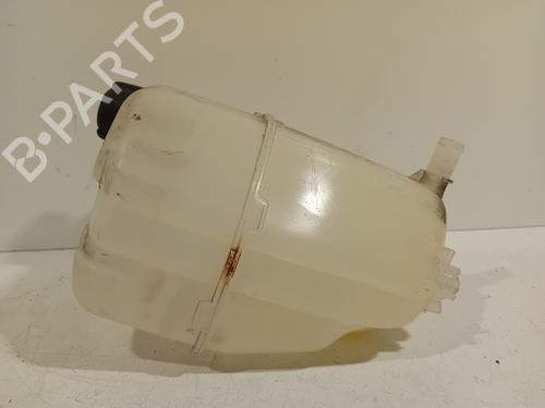 Expansion tank RENAULT KANGOO Express (FW0/1_) Z.E. (FW0Z, FW1Z) | BP21081913C120 