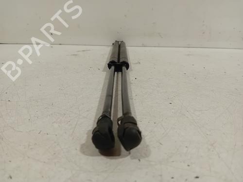 Tailgate lift support LEXUS GS (_S19_) 450h (GRS191_, GWS191_, GRS191R, GWS191R) | BP20289054C138 