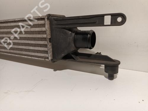 Intercooler FIAT PUNTO EVO (199_) 1.3 D Multijet | BP16534331M30 