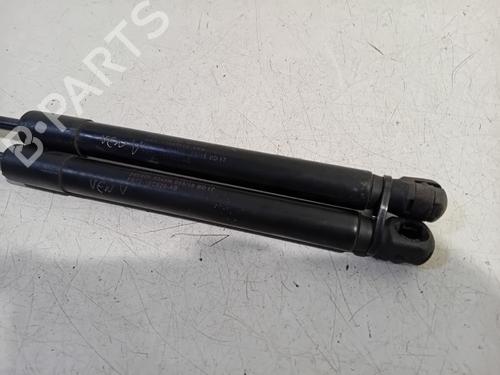 Hood lift support LAND ROVER DISCOVERY SPORT (L550) 2.0 4x4 | BP20226200C139