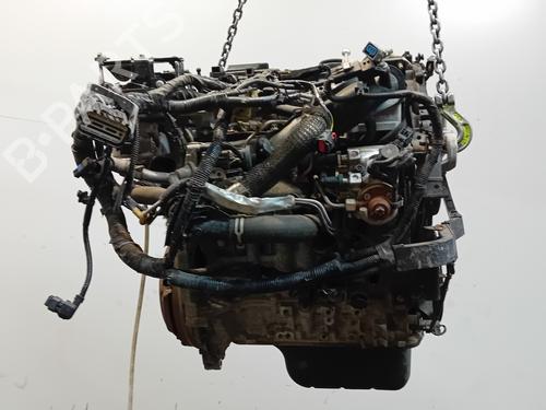 Motor FORD TRANSIT COURIER B460 Box Body/MPV 1.6 TDCi (95 hp) 16931751