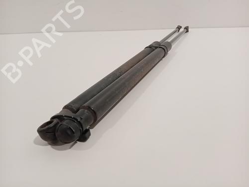 Tailgate lift support NISSAN QASHQAI I (J10, NJ10) 1.6 | BP23436740C138 