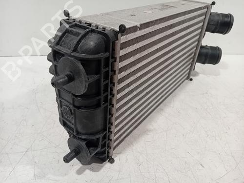 Intercooler DS DS 3 / DS 3 CROSSBACK (UR_, UC_, UJ_) 1.2 PureTech 130 (URHNSS) | BP38467940M30 - Image 4