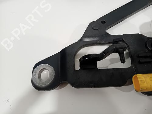 Hinge/Door check strap BMW 5 (F10) 530 d | BP29541096C146