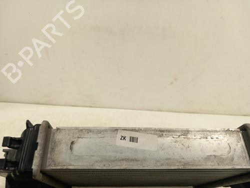Intercooler NISSAN JUKE (F16_) DIG-T 117 | BP39494060M30 - Image 4