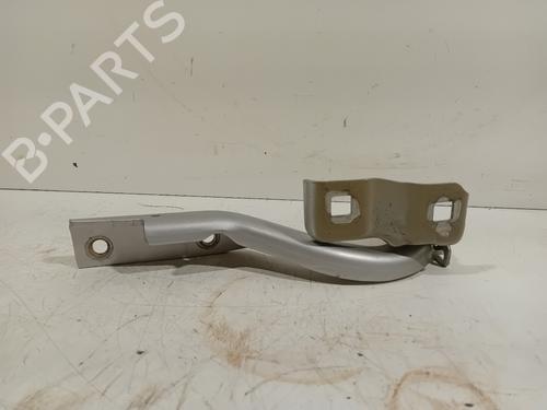 Hinge/Door check strap FIAT 500X (334_) 1.4 (334AXC1B, 334AXC11) | BP22687625C146 