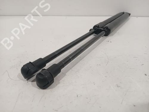 Hood lift support BMW 1 (E87) 116 d | BP27638986C139 
