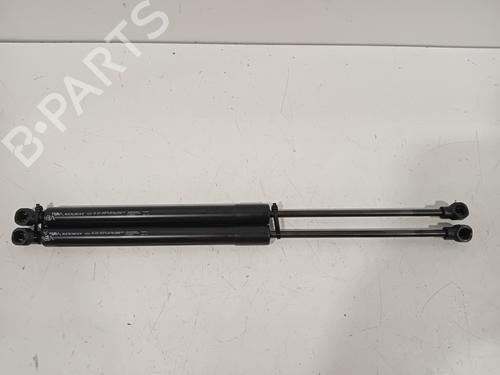 Tailgate lift support RENAULT ZOE (BFM_) ZOE | BP18606100C138