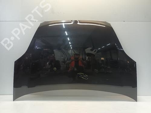 hood-fiat-doblo-cargo-263_-2010-29864267 main image