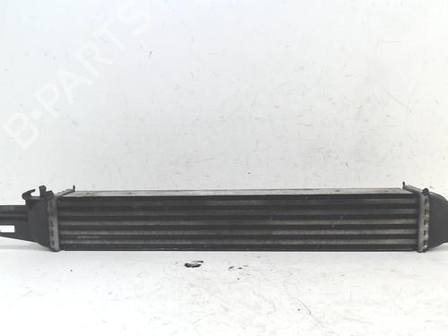 Used Intercooler FIAT FIORINO Box Body/MPV (225_) 1.3 D Multijet (225BXD1A, 225BXB1A, 225BXB11) (75 hp) 13201429