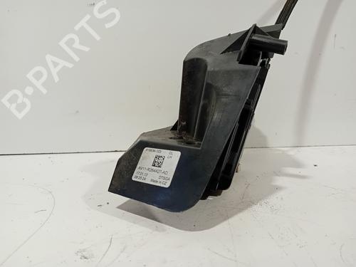Hinge/Door check strap FORD B-MAX (JK) 1.6 Ti | BP24153812C146 