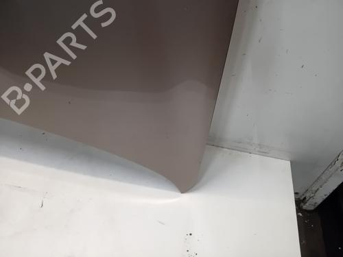 Hood NISSAN QASHQAI I (J10, NJ10) 2.0 All-wheel Drive | BP27653861C1 
