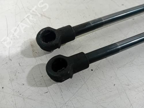Tailgate lift support BMW 1 (F20) 120 d xDrive | BP18081596C138 