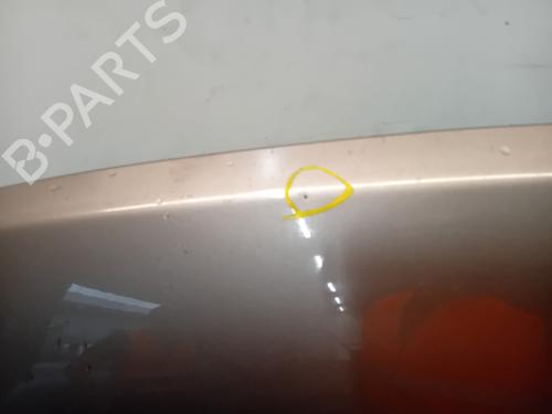 Hood NISSAN QASHQAI I (J10, NJ10) 2.0 All-wheel Drive | BP27653861C1 