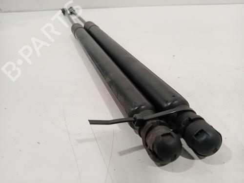 Tailgate lift support FIAT TIPO Estate (356_, 357_) 1.4 (356WXF1B) | BP25009835C138