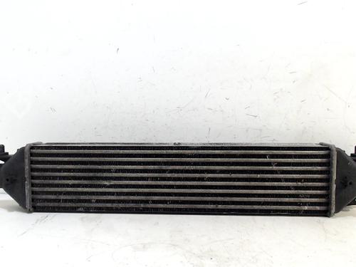 Used Intercooler FIAT DOBLO Cargo (263_) 1.3 D Multijet (75 hp) 13201437