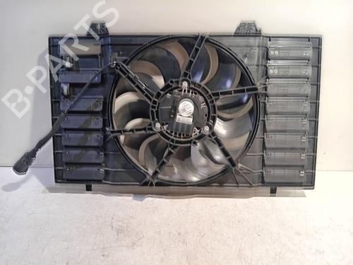 Used Fan PEUGEOT 208 II (UB_, UP_, UW_, UJ_) e-208 (136 hp) 19314025