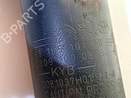 Left rear shock absorber OPEL VIVARO C Van (K0) 1.5 | BP26883874M18 
