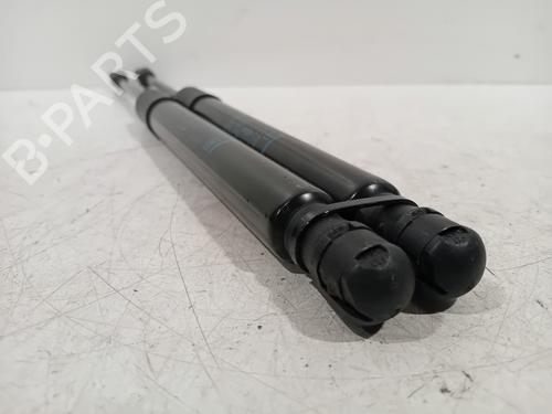 Tailgate lift support OPEL CROSSLAND X / CROSSLAND (P17, P2QO) 1.2 (75) | BP22234318C138 