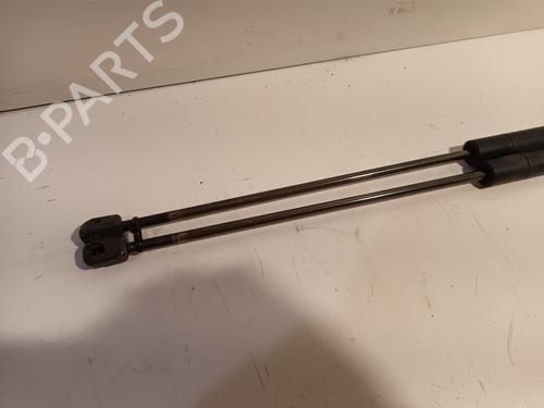 Tailgate lift support FORD KUGA I 2.0 TDCi | BP16959148C138 