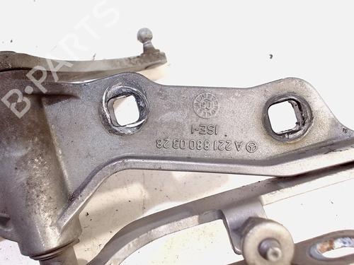 Hinge/Door check strap MERCEDES-BENZ S-CLASS (W221, V221) S 320 CDI (221.022, 221.122) | BP13201732C146 