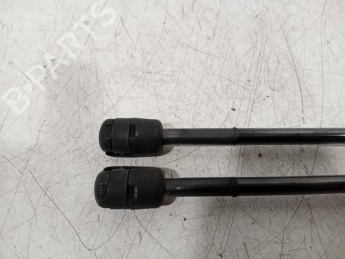 Tailgate lift support SKODA OCTAVIA III (5E3, NL3, NR3) 1.0 TSI | BP20136098C138 