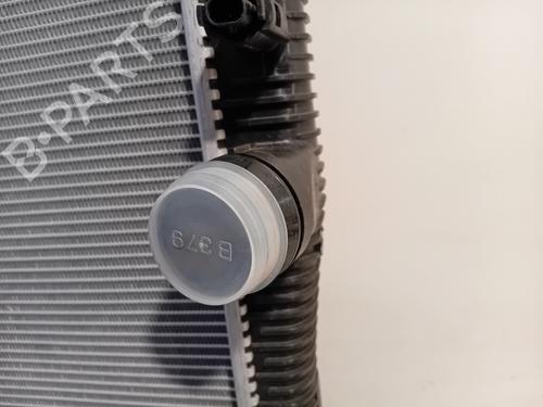 Water radiator BMW iX (I20) xDrive 40 | BP20669738M31 
