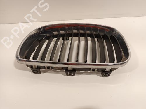 Grille BMW 1 (E81) 116 i | BP16446169C40 